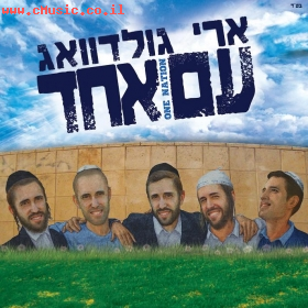 ארי גולדוואג