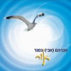 "הכמיהה של גסנר" - ירושלים