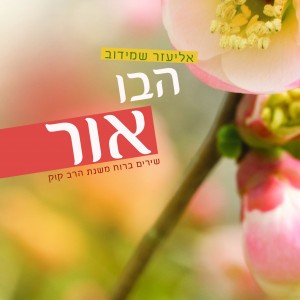 אליעזר שמידוב חוזר באלבום שני: "הבו אור"