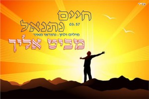 חיים נתנאל - 'מביט אליך'