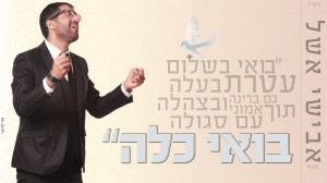 מרגש בחופה..