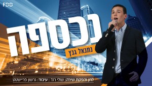 נתנאל גנץ שר שולי רנד: