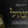 הנשמה היתירה של דייויד טויב: