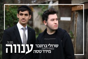 "שני קוים מקבילים - לא מה שחשבתם"