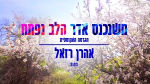 משנכנס אדר בשאנטי: